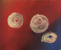 max ernst les amanites1 Art A4 Photo Print