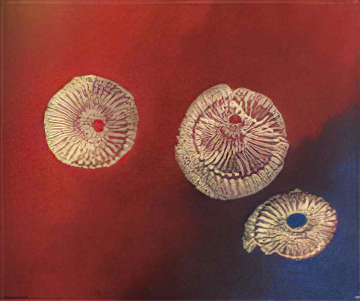 max ernst les amanites1 Art A4 Photo Print