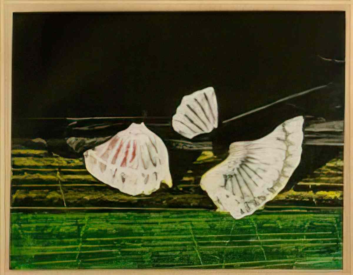 max ernst les coquilles Art A4 Photo Print