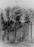 max ernst les mysteres de la foret A4 Photo Print