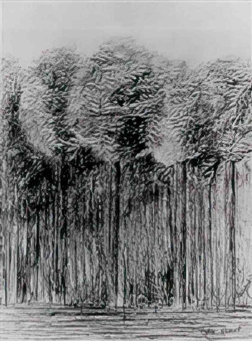 max ernst les mysteres de la foret A4 Photo Print