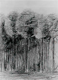 max ernst les mysteres de la foret Art A4 Photo Print