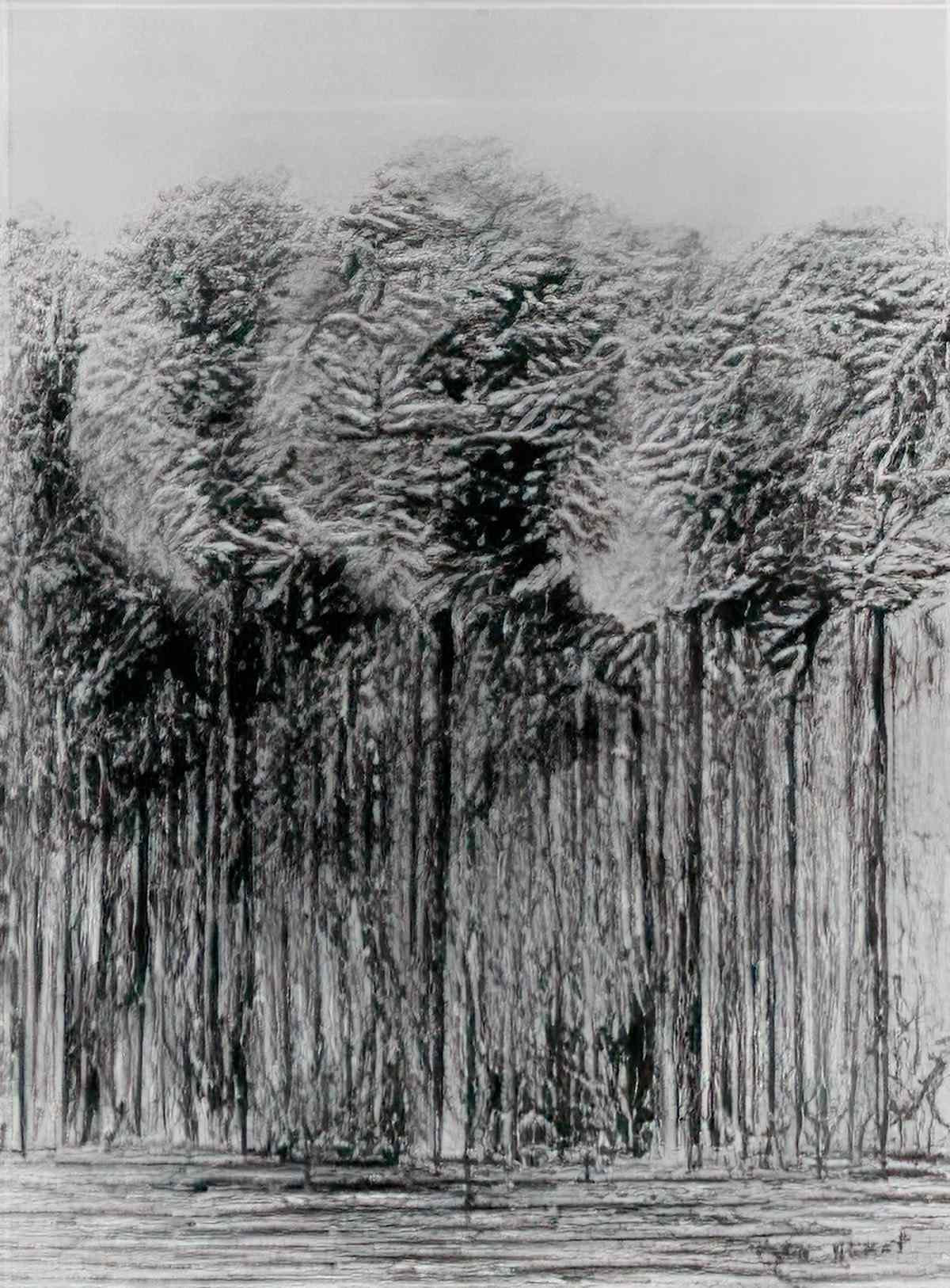 max ernst les mysteres de la foret Art A4 Photo Print