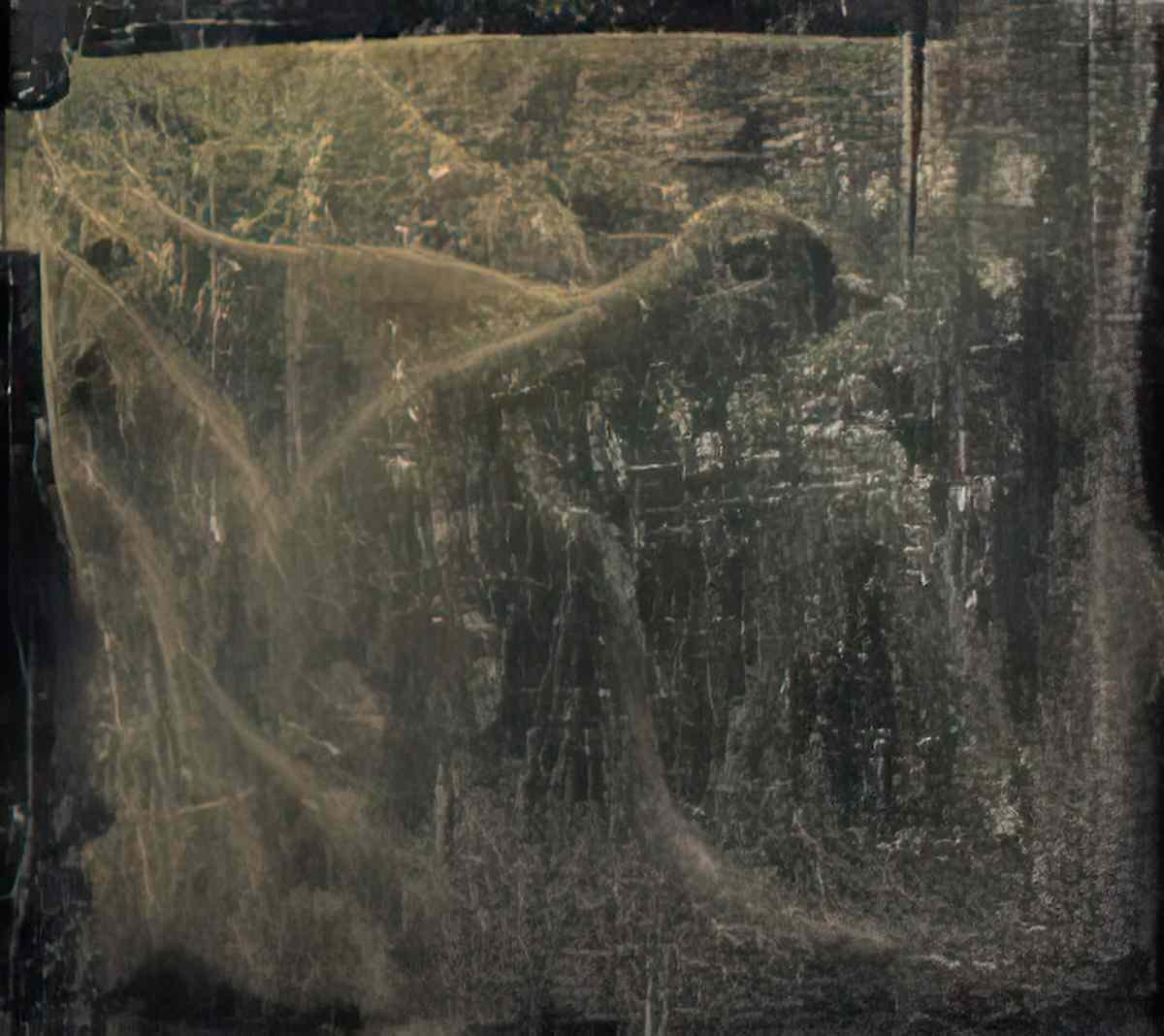 max ernst loiseau1 Art A4 Photo Print