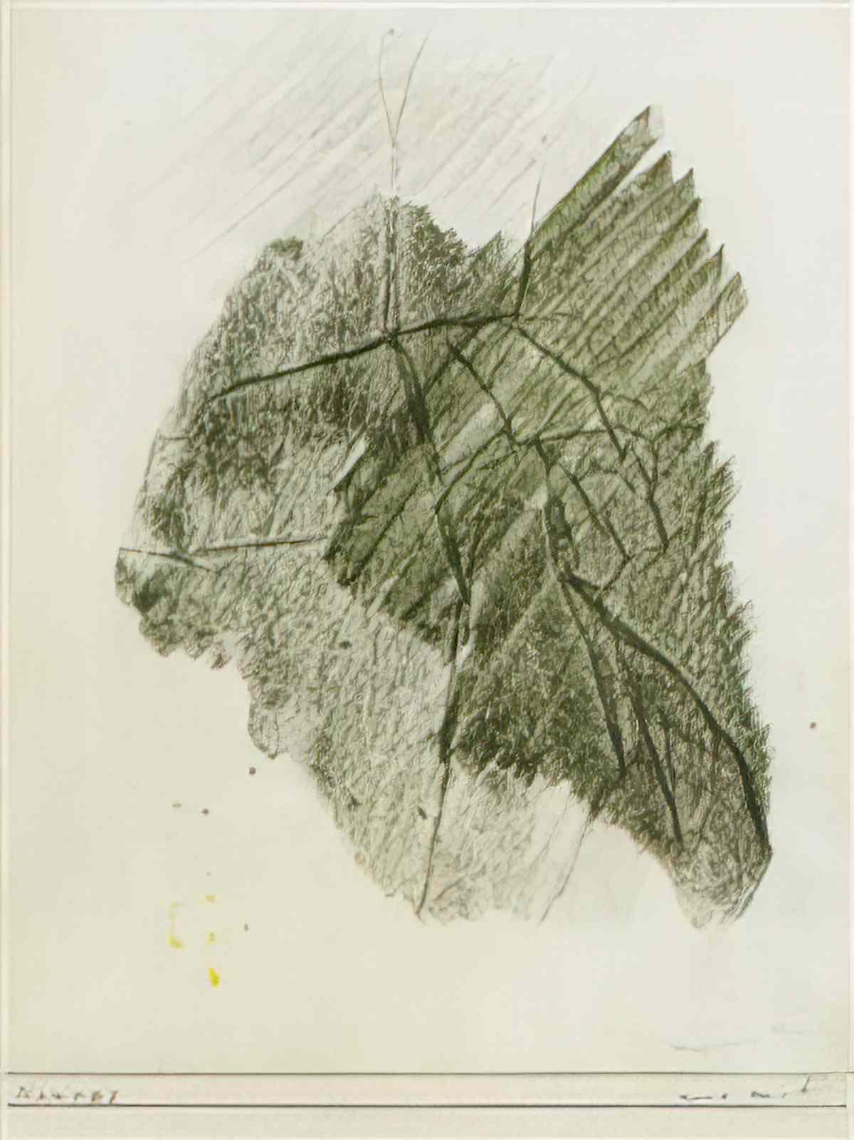 max ernst mantes Art A4 Photo Print