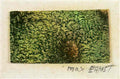 max ernst microbe paysage immacule Art A4 Photo Print