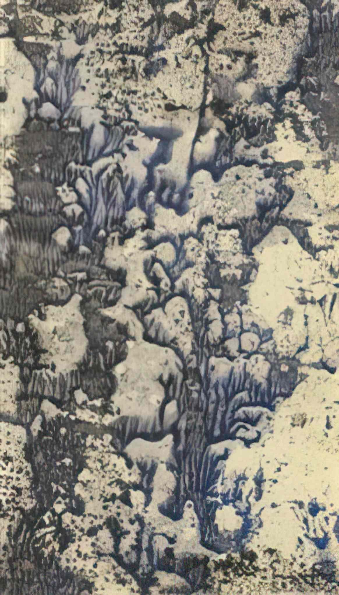 max ernst microbe5 Art A4 Photo Print