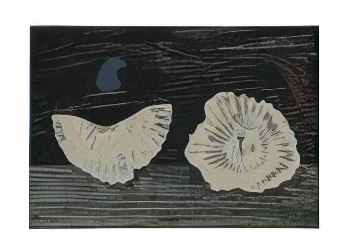 max ernst muschelblumen 2 Art A4 Photo Print