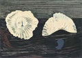 max ernst muschelblumen Art A4 Photo Print