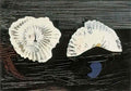 max ernst muschelblumen2 Art A4 Photo Print