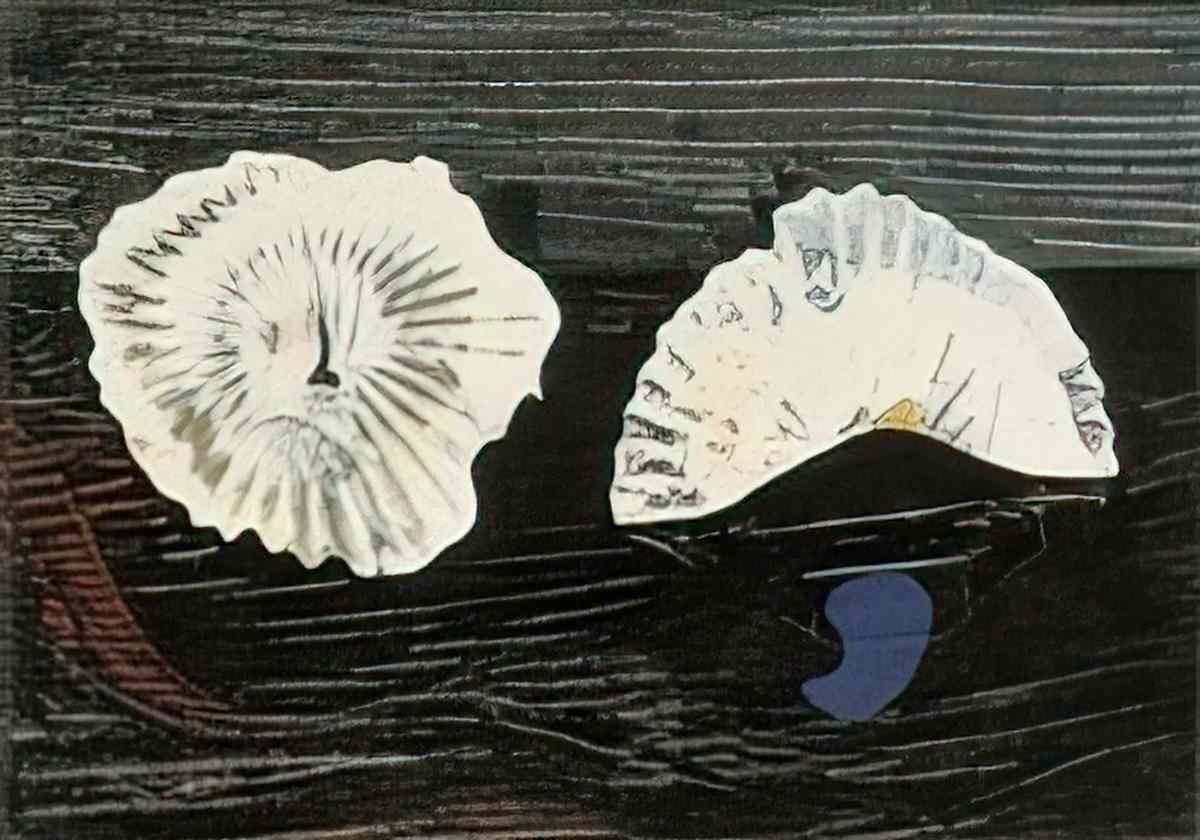 max ernst muschelblumen2 Art A4 Photo Print
