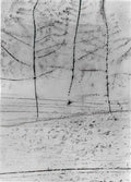 max ernst ohne titel lichtung Art A4 Photo Print