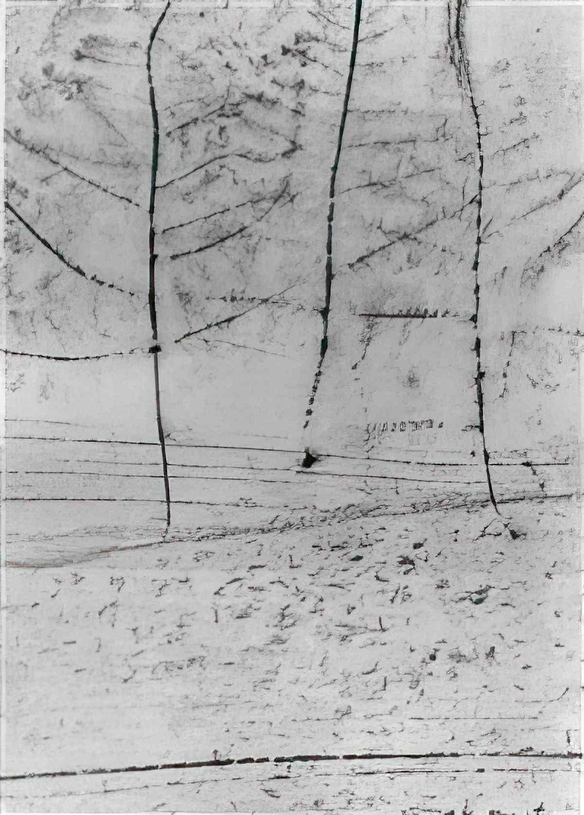 max ernst ohne titel lichtung Art A4 Photo Print