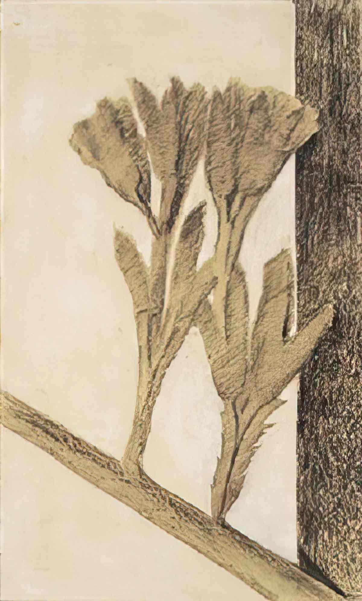 max ernst ohne titel25 Art A4 Photo Print
