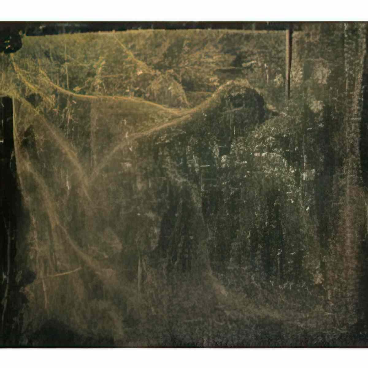 max ernst oiseau10 Art A4 Photo Print