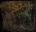 max ernst oiseau6 Art A4 Photo Print