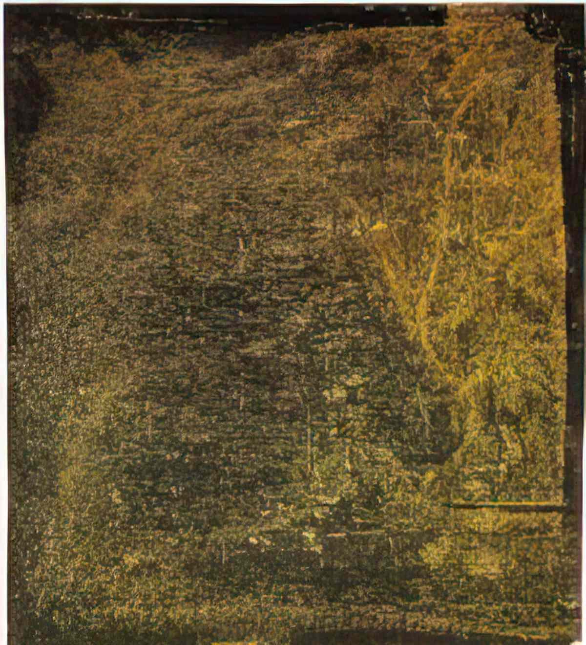 max ernst oiseau7 Art A4 Photo Print