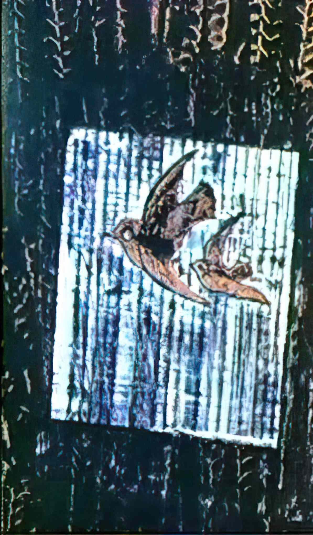 max ernst oiseaux dans la foret Art A4 Photo Print