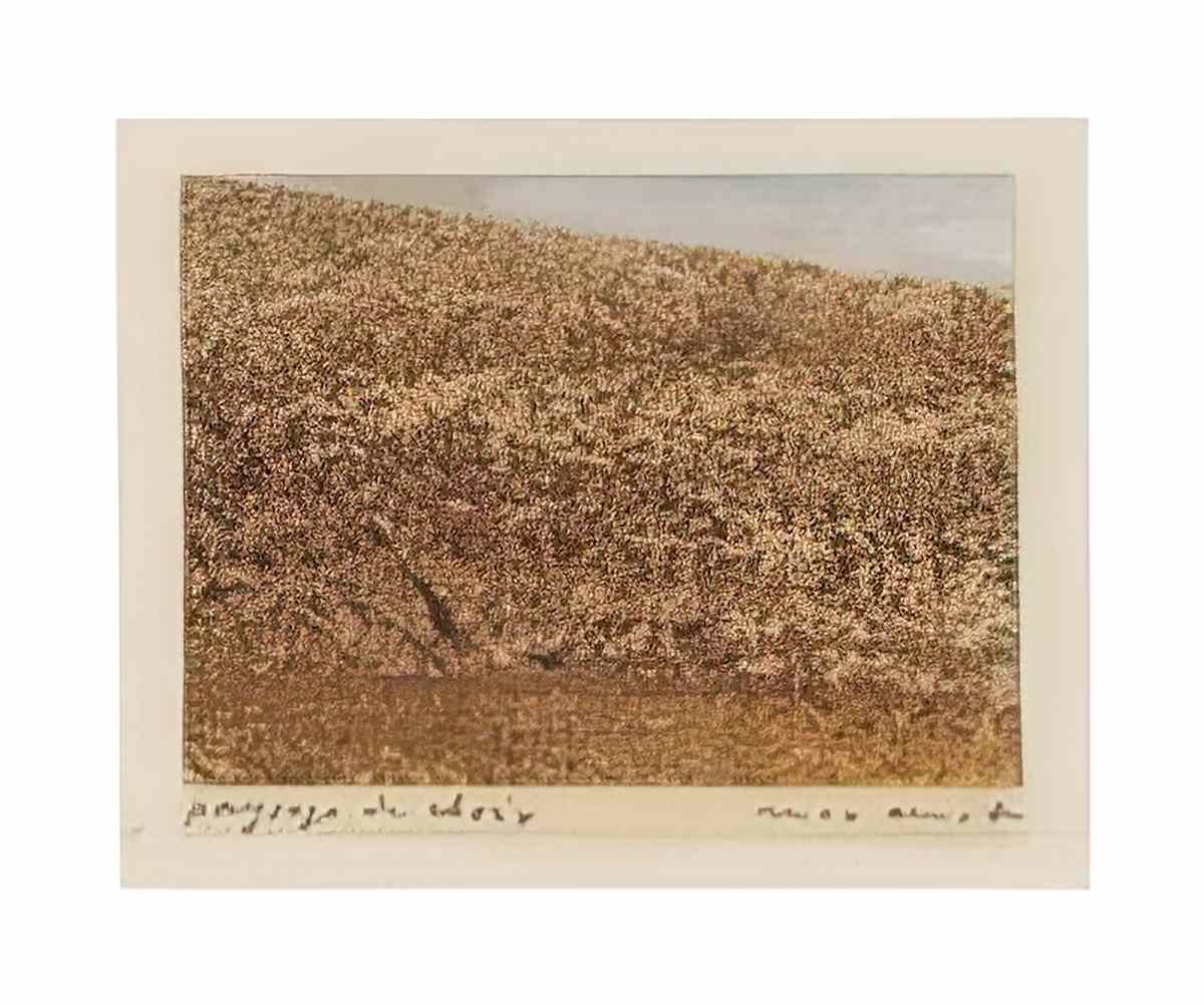 max ernst paysage de choix1 Art A4 Photo Print