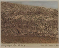 max ernst paysage de choix2 Art A4 Photo Print