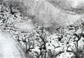 max ernst plantes sismiques Art A4 Photo Print