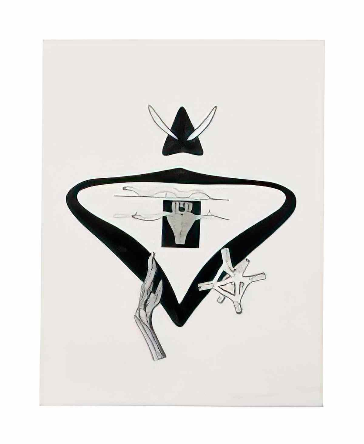 max ernst projet dillustration pour la brebis galante de benjamin per Art A4 Photo Print