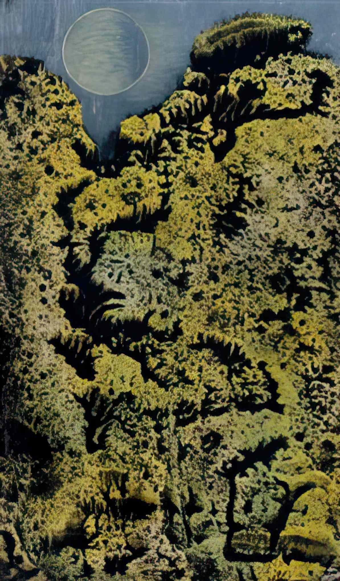 max ernst sans titre36 Art A4 Photo Print