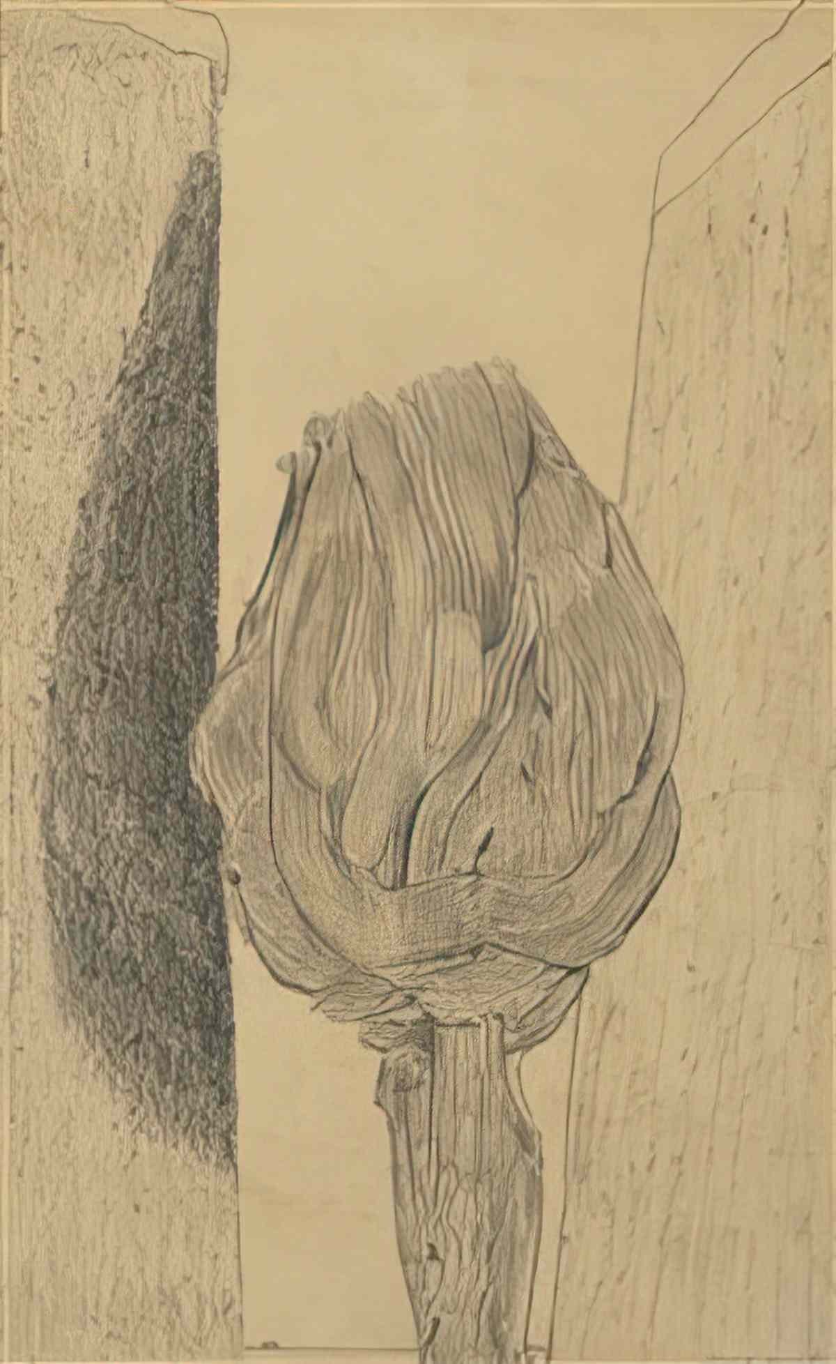 max ernst tete de feuilles Art A4 Photo Print