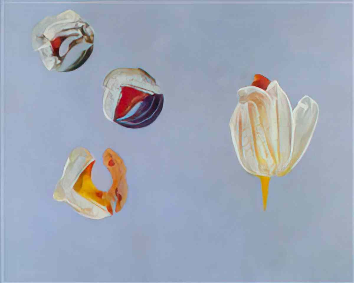 max ernst tulpen Art A4 Photo Print