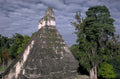 mayan temple masks 1980s 1990s A4 Photo Print