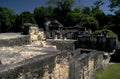 mayan temple tikal 1 1980s 1990s A4 Photo Print