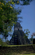 mayan temple tikal 2 1980s 1990s A4 Photo Print