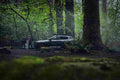 mazda cx 50 2021 7196 17 Car A4 Photo Print