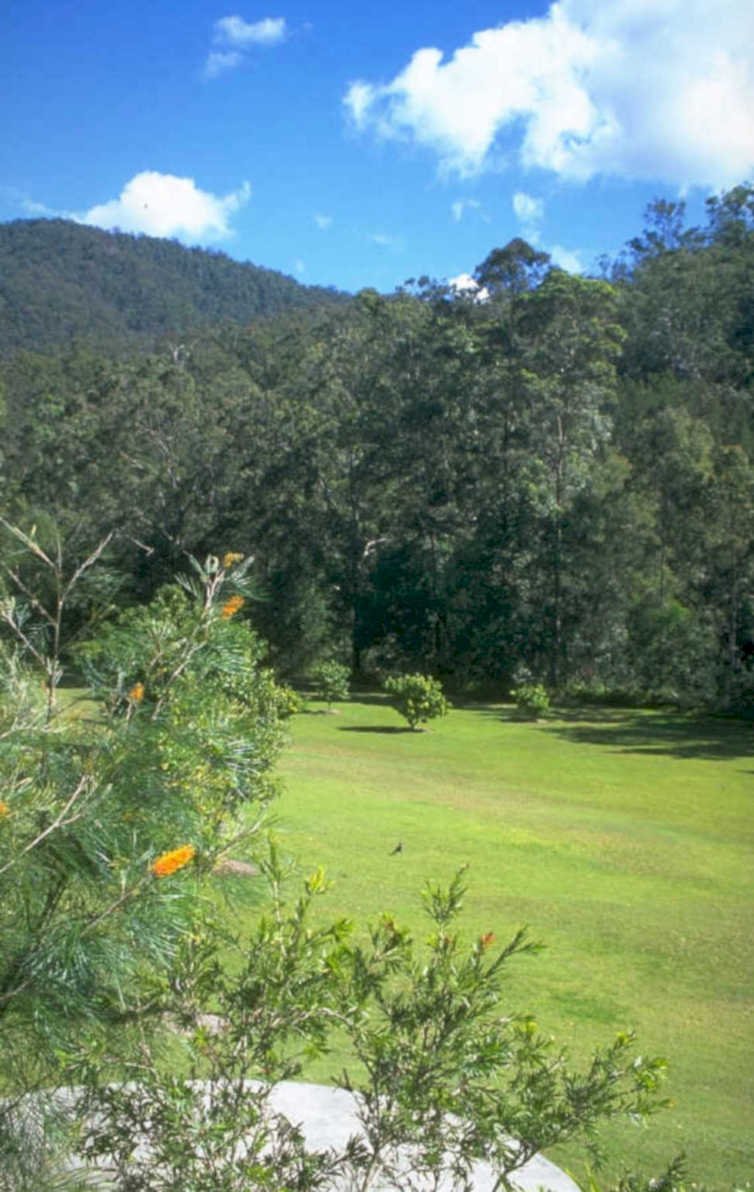 meadow hills eucalyptus 1980s 1990s A4 Photo Print