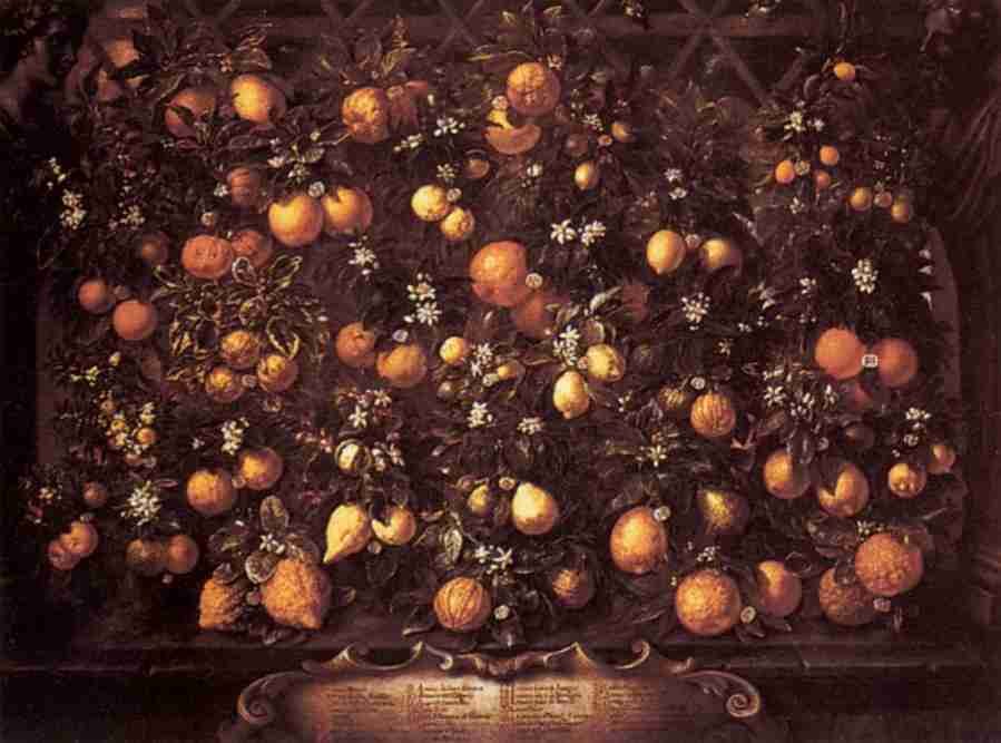medici3 Art A4 Photo Print