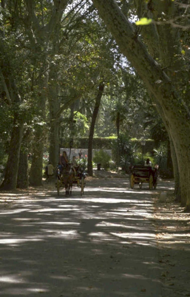 mediterranean park carriage 1980s 1990s A4 Photo Print