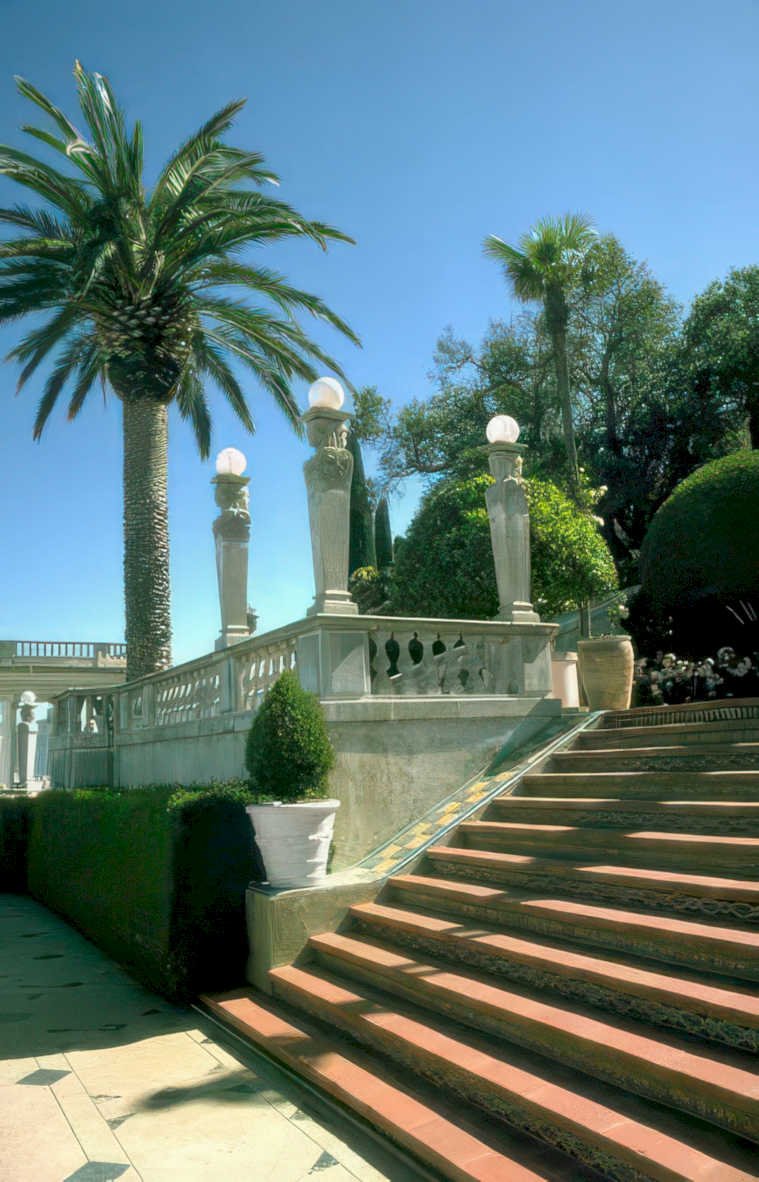 mediterranean staircase palm Vintage A4 Photo Print