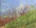 medn Hildside in Springtime Art A4 Photo Print