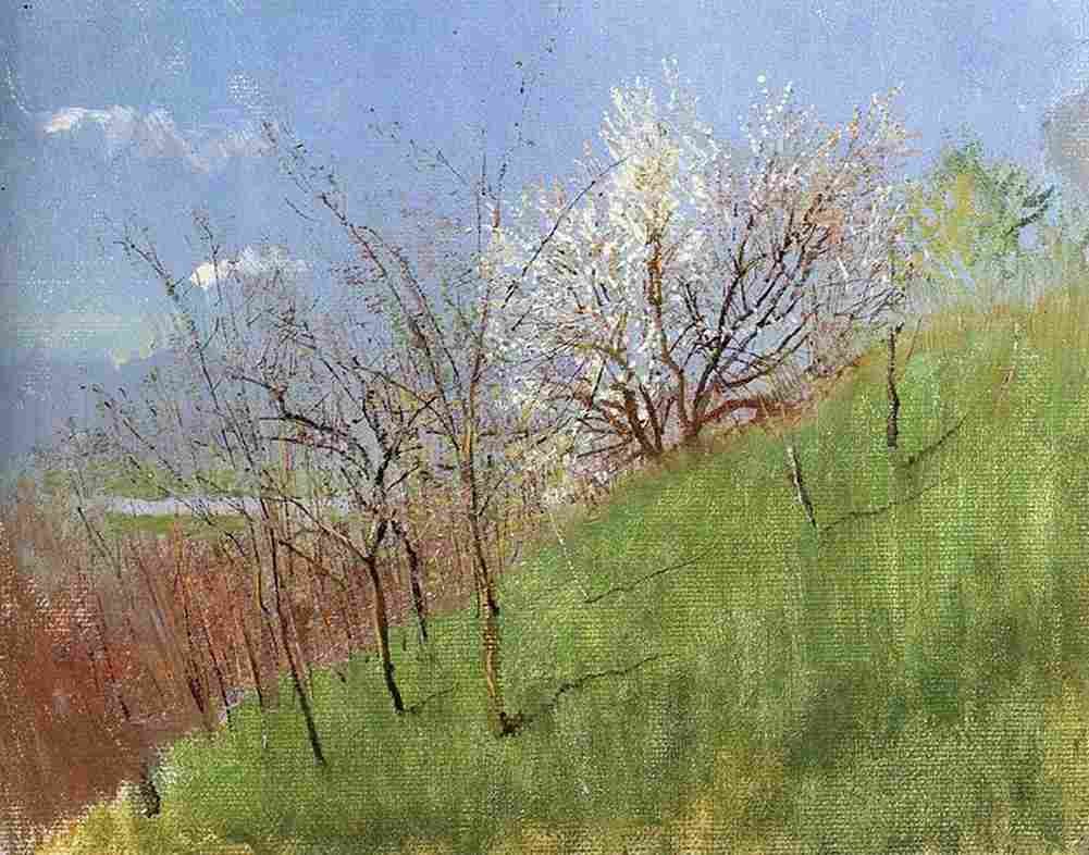 medn Hildside in Springtime Art A4 Photo Print