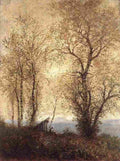 medn Landscape at Autumn Art A4 Photo Print