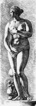 medvenus Art A4 Photo Print
