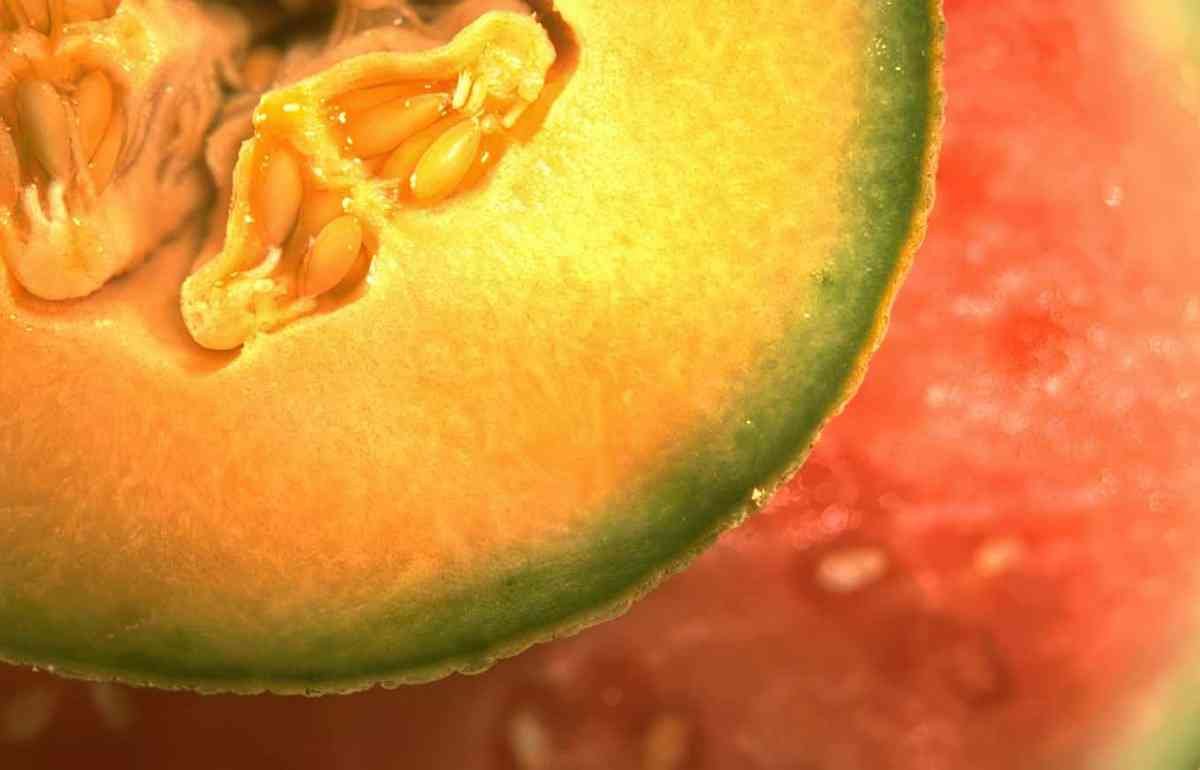 melon slice cantaloupe A4 Photo Print