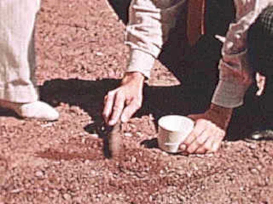 men dig hole1980s 1990s A4 Photo Print