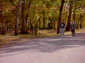 men gravel path1980s 1990s A4 Photo Print