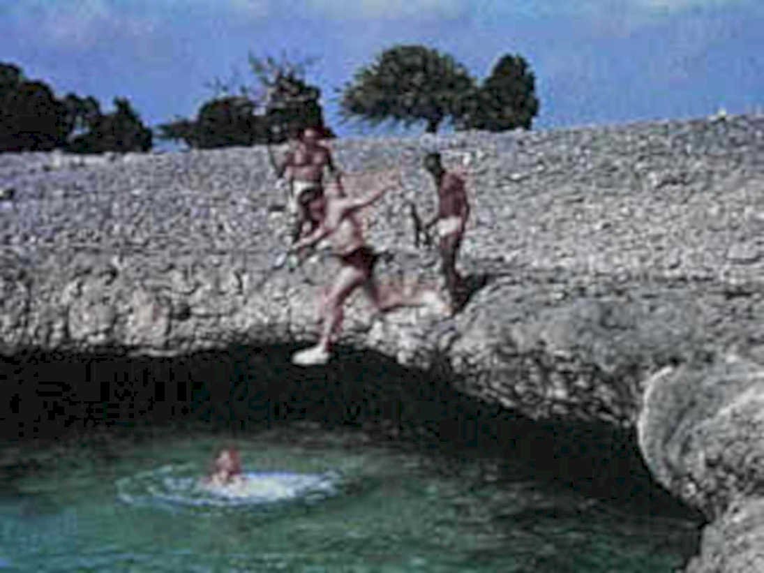 men pool jumping1980s 1990s A4 Photo Print