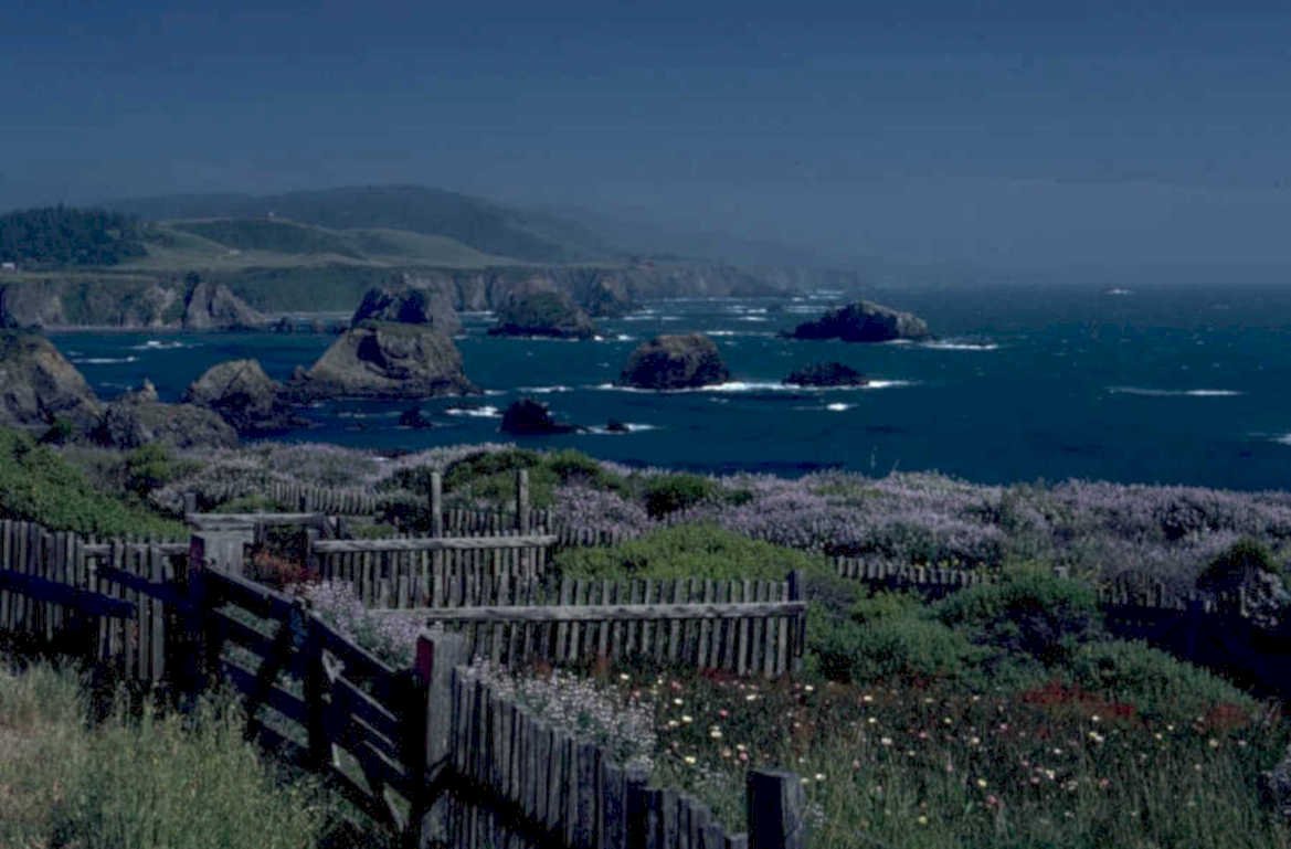 mendocino coast fence 1980s 1990s A4 Photo Print