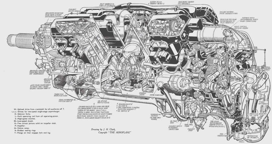 merlin cutaway A4 Photo Print