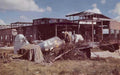 messerschmitt bf109 wreckage Vintage world war A4 Photo Print