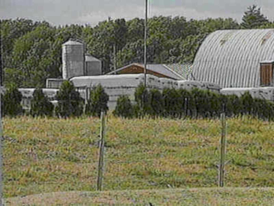 metal barn water1980s 1990s A4 Photo Print
