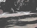 metal grooves surface1980s 1990s A4 Photo Print